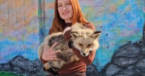 Mikayla Raines gently holding a rescued fox, symbolizing her compassion and dedication to animal welfare through SaveAFox.